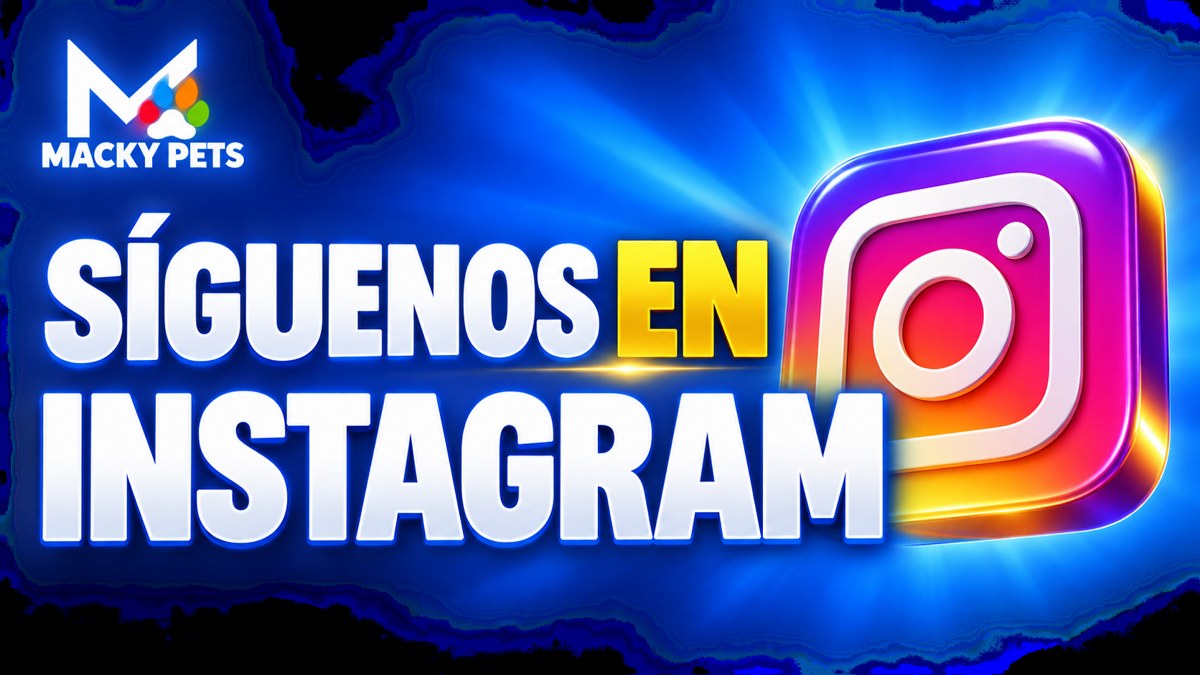 Síguenos en Instagram