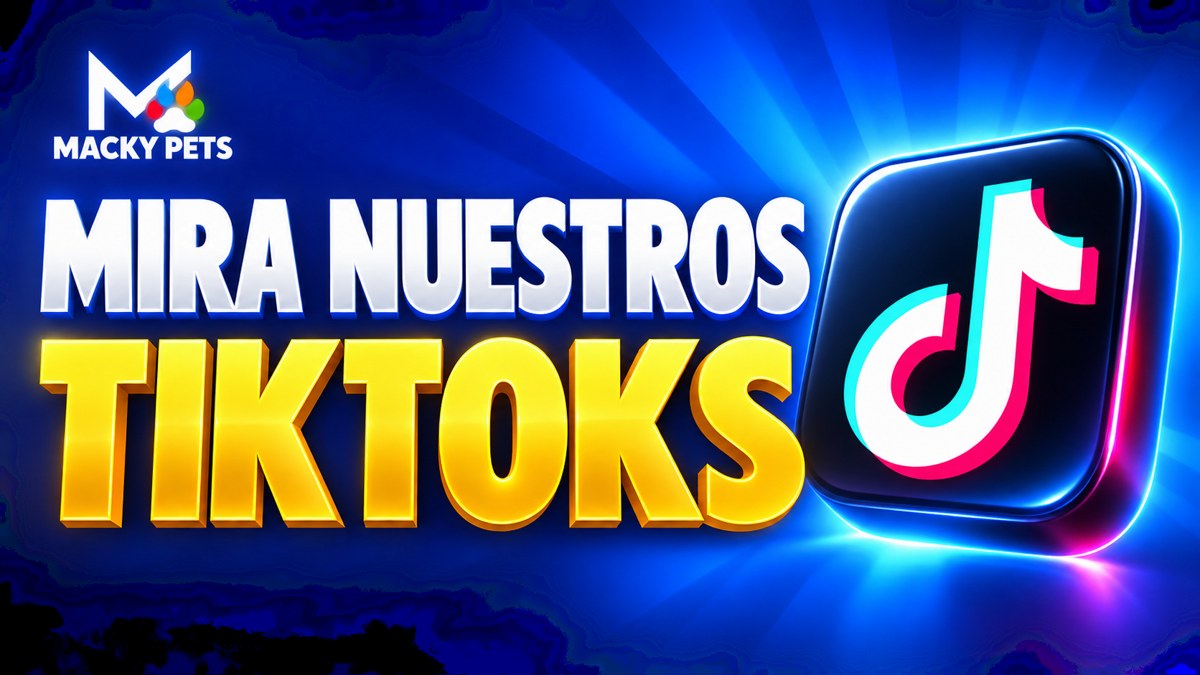 Mira nuestros TikToks